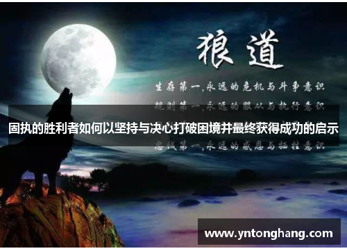 固执的胜利者如何以坚持与决心打破困境并最终获得成功的启示